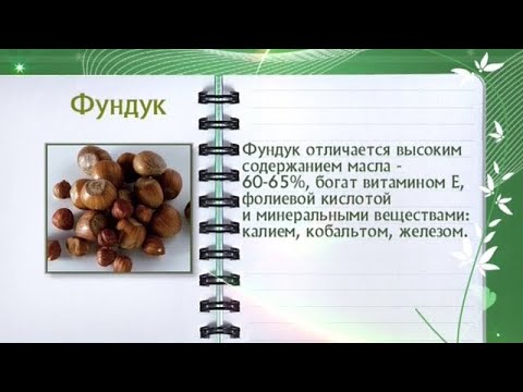 Кулинарная энциклопедия - Фундук - UC7XBjhXnmmXFsxmnys9PmDQ