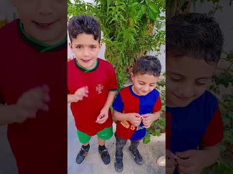 مين ماطعما ماشا بطاط