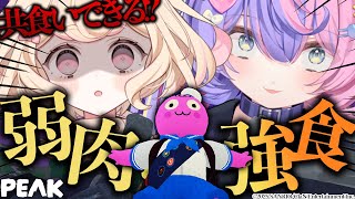【PEAK】3Dお披露目の打ち上げだった...はずが共食い!?!?【若魔雲ふわり/若魔藤あんず/にゃんたじあ！】