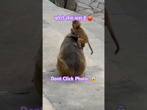 फोटो लेना मना है 🫷🛑 | Don’t click Photo 🥶 #money #comedy #funny #shorts #trending