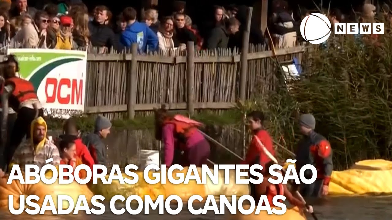 Abóboras gigantes são usadas como canoas em competição
