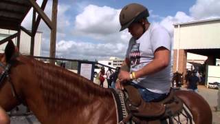 UCF Connetion: Horses for Heroes 