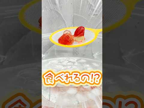 これ食べれるの！？まるで金魚！？Figummy 360 KINGYOグミがザグザグにやってきた！#shorts #ザグザグ #金魚グミ