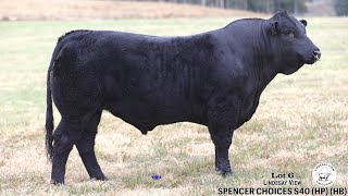 Lot 6 Lindesay View Spencers Choice S40 (HP) (HB)