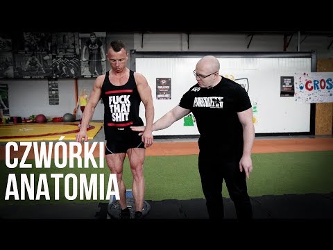 JAK ROZBUDOWAĆ UDA? ANATOMIA CZWÓREK - UCCwsb6pCsJYFp53h9prxXtg