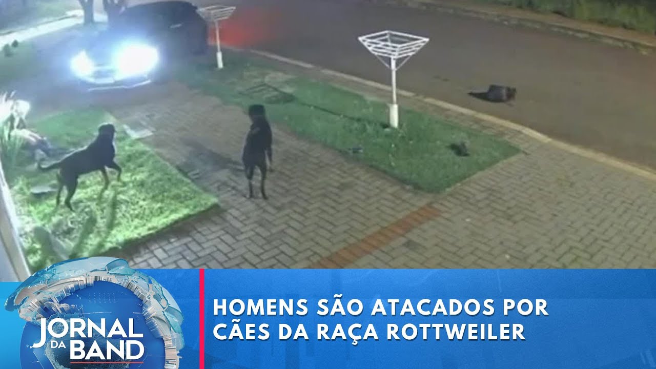 Homens são atacados por cães da raça Rottweiler no Paraná TV Online Homens são atacados por cães da raça Rottweiler no Paraná