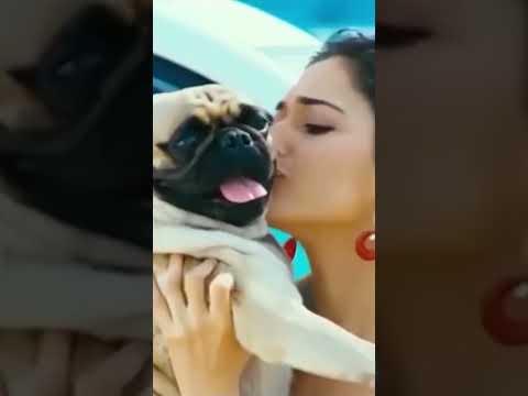 Tammanah is Ek Kutte Ke Liye Apni Jaan Dene Wali Thi
