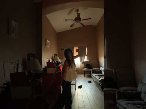 Canelo, fight!!!🤪😛😝￼