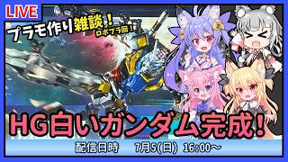 【プラモづくり雑談】HG白いガンダム！今回で完成！【ガンプラ】