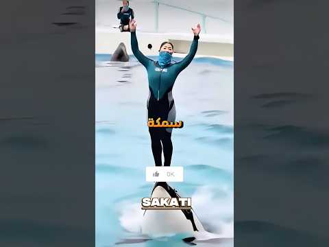 ما حقيقة الفتاة التي أكلها حوت الأوركا علي المباشر😱#shorts #قصص_واقعية #قصص_حقيقية #قصص #قصة