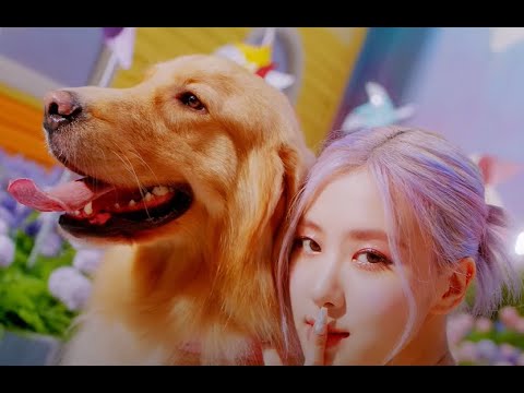 ‘Ice cream’ -Blackpink x Selena Gomez- 1 hour loop