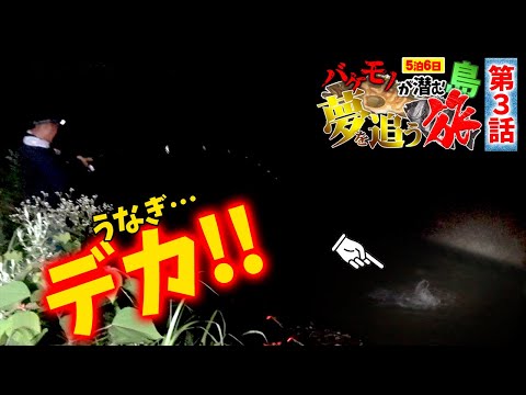 まさに秘境…ルアーで巨大ウナギが釣れた‼️