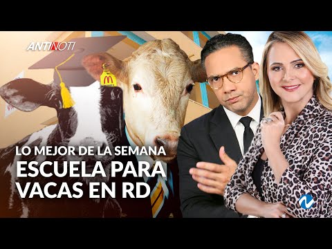 Una Escuela Para Vacas En RD [Lo Mejor De La Semana] | Antinoti