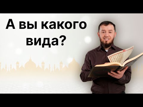 А вы какого вида? (тел: +7-986-917-28-84)