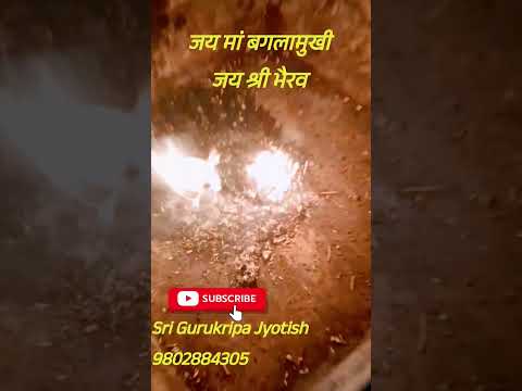 माता बगलामुखी दैनिक हवन कुरुक्षेत्र में, आप भी हवन यज्ञ कराएं  @srigurukripajyotish 9802884305