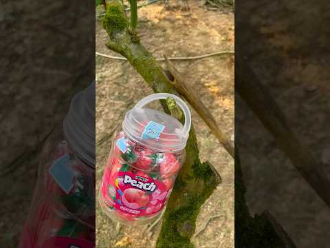 Kỹ năng sinh tồn: bà mẹ đơn thân với kỹ n.