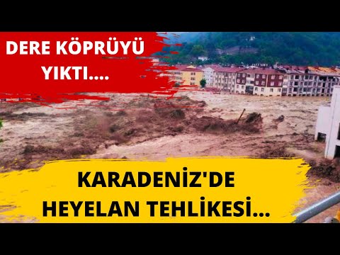 Karlar eriyor... Karadeniz'de heyelan tehlikesi... Dere köprüyü yıktı....