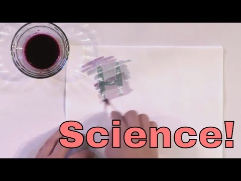 Make DIY Invisible Ink!  Neat Chemistry Experiment to make Science Fun! - UCYgL81lc7DOLNhnel1_J6Vg