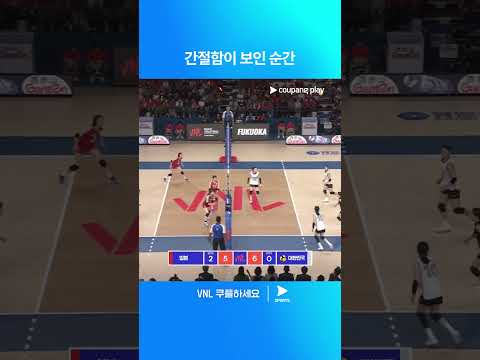 2024 VNL | 대한민국 vs 일본 | 실점을 막기 위한 혼신의 랠리