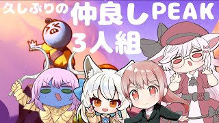 【Vtuber】仲良し3人組、山を登る。【PEAK】
