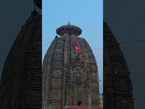 #youtube #shorts #bhakti #shorts #song #छठी_मैया_की_जय🙏🙏🙏 #छठ #छठ_पूजा_reality #छठ