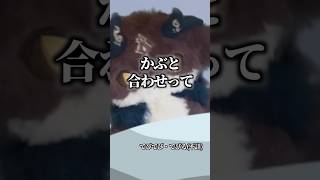 明日への勇気がでるにじさんじライバー名言 #にじさんじ