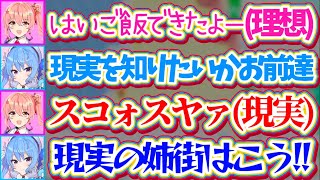 【理想と現実】リスナーが想像する『理想の姉街』とは正反対(?)の『現実の姉街』を叩きつけてリスナーの理想像を破壊するすいちゃんw【ホロライブ