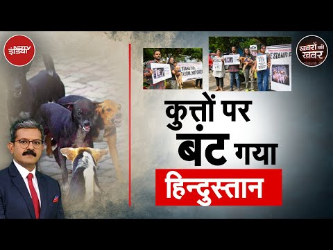 Stray Dogs: आवारा कुत्तों पर Supreme Court में बड़े-बड़े वकीलों ने दी हैरान करने वाली दलील