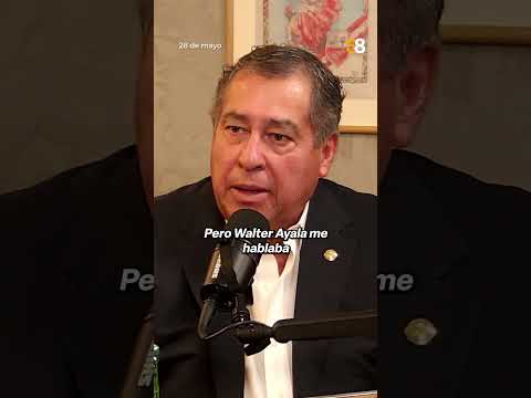 Las razones por las que Pedro Castillo no podría recibir el indulto #S8