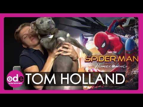 Spider-Man: Tom Holland brings his dog to our interview - UCXM_e6csB_0LWNLhRqrhAxg