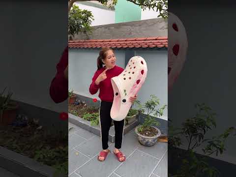 Cute - Món quà bất ngờ 😱😭🥰 #funny