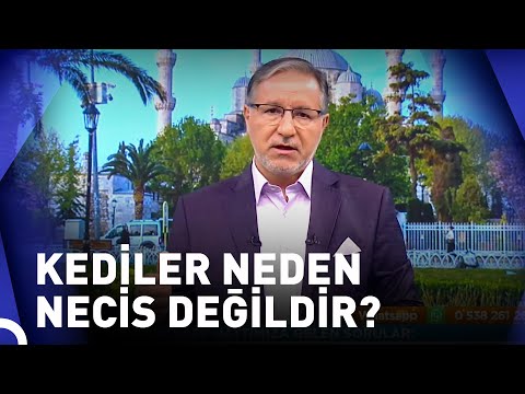 Peygamberimizin Kedisinin Adı Neydi? | Prof. Dr. Mustafa Karataş ile Muhabbet Kapısı