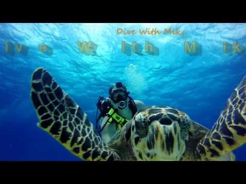 Why I dive Cozumel! GoPro Hero4 Black 4k