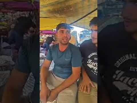 Temps forts du direct