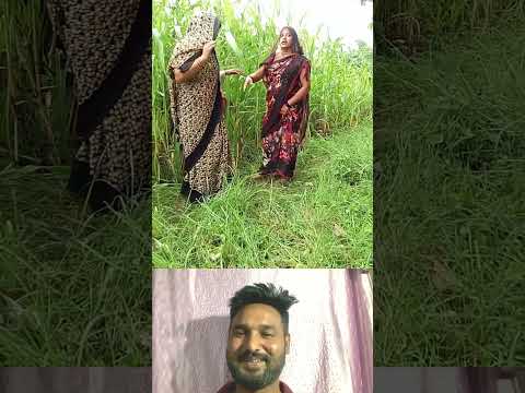 Gujarati Status || New Gujarati Mashup WhatsApp Status || जंगल में मगल 😂