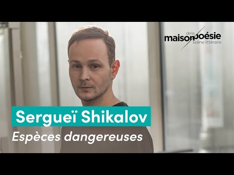 Vido de Sergue Shikalov
