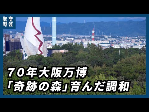 【探訪】70年大阪万博 「奇跡の森」育んだ調和