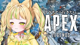 【 APEX｜ソロランク 】頑張ってプラチナを目指す！#お座敷てれび【#座敷わらび/AiceClass】