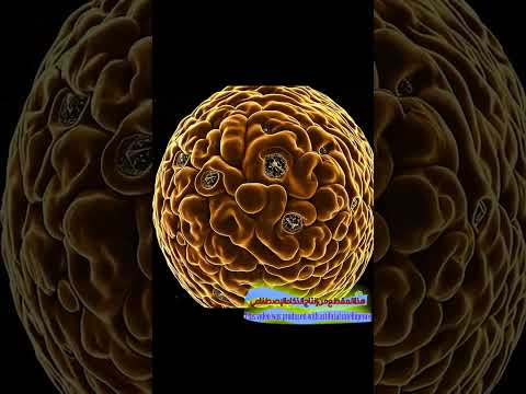 INVASION: An Epic 40-Second Journey Inside a Human Cell! #history