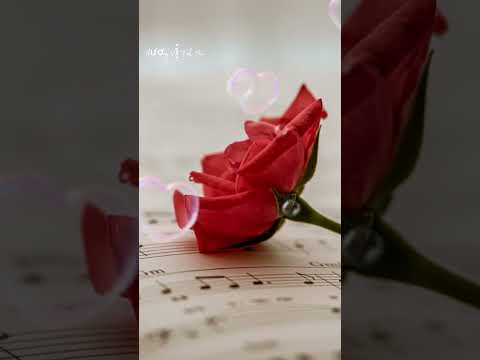 Hương Vị Tình Yêu # Nhạc Hay Mỗi Ngày #