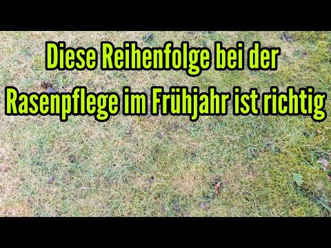 Wie die Reihenfolge für Rasenpflege im Frühjahr richtig ist 