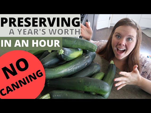How to Preserve Zucchini: Tips and Tricks