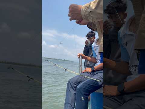 Wow 🤩 #smallfish #trending #shortvideo #reels #foodpreparation #cooking #fishing