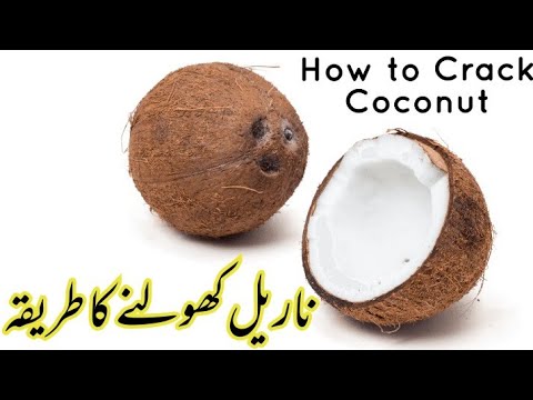 Crack Coconut Shell in 8 Minutes at your own | Coconut From Shell | Open Coconut shell at home.