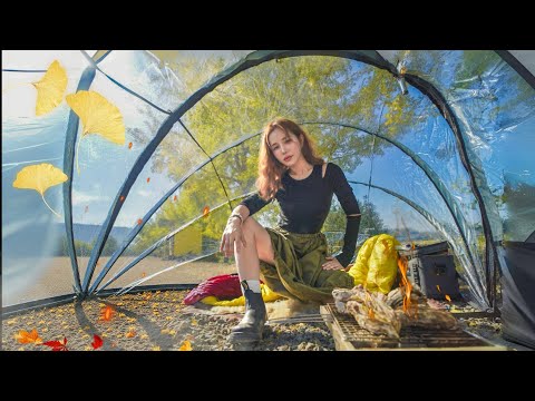 사방이 다 보이는 텐트에서 나홀로 가을 캠핑 / 솔로캠핑/ 🔥굴구이+🍶먹방/ 호떡 / 굴솥밥 비벼먹기 / 가을캠핑명소 사방이 다 보이는 텐트에서 나홀로 가을 캠핑 / 솔로캠핑/ 🔥굴구이+🍶먹방/ 호떡 / 굴솥밥 비벼먹기 / 가을캠핑명소