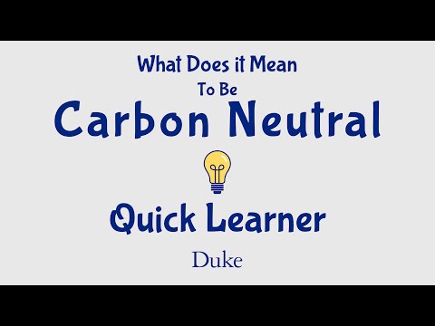 What Does It Mean To Be Carbon Neutral? | Quick Learner