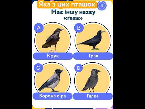 Хто така «ґава»? #стежинка #птахи #цікавіфакти