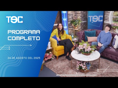 El cosm 360,¿Qué es el W Place?, Casas pre fabricadas y más- TEC 24 agosto 2025