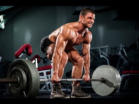 Power Hypertrophy Upper Lower (PHUL) Workout Routine - UCNfwT9xv00lNZ7P6J6YhjrQ