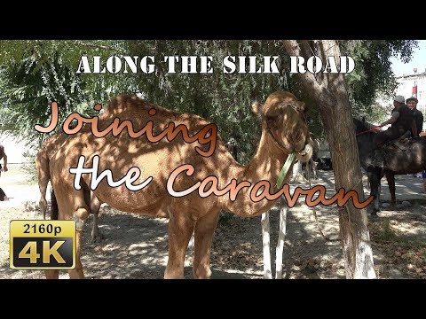 Osh Fest, Joining the Caravan - Kyrgyzstan 4K Travel Channel - UCqv3b5EIRz-ZqBzUeEH7BKQ